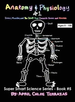 Anatomia e fisiologia parte 1: ossa, muscoli e ciò che collega ossa e muscoli - Anatomy & Physiology Part 1: Bones, Muscles, and the Stuff That Connects Bones and Muscles