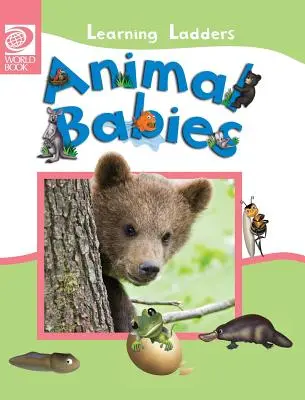 I bambini degli animali - Animal Babies