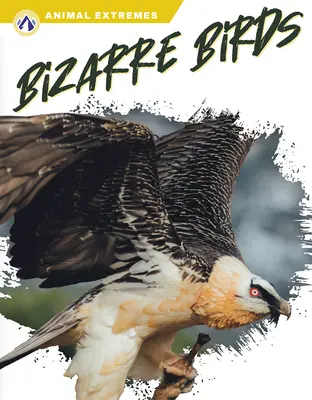 Uccelli bizzarri - Bizarre Birds