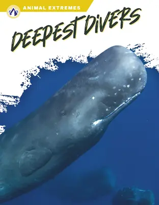 I più profondi sommozzatori - Deepest Divers