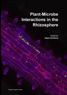 Interazioni pianta-microbo nella rizosfera - Plant-Microbe Interactions in the Rhizosphere