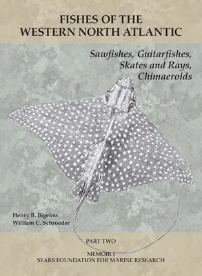 Pesci sega, pesci chitarra, razze e chimeroidi: Parte 2 - Sawfishes, Guitarfishes, Skates and Rays, Chimaeroids: Part 2