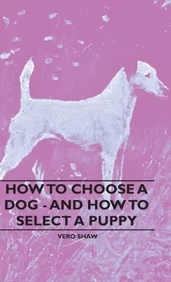 Come scegliere un cane e come selezionare un cucciolo - How To Choose A Dog - And How To Select A Puppy
