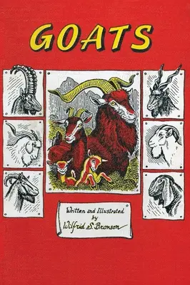 Le capre - Goats