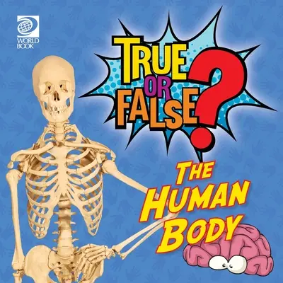 Vero o falso? Il corpo umano - True or False? The Human Body