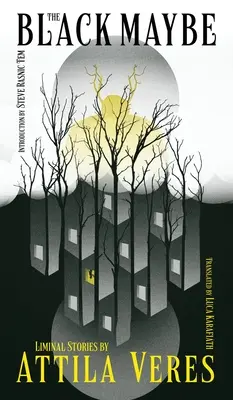 Il nero forse: Racconti liminari - The Black Maybe: Liminal Tales