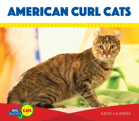 Gatti American Curl - American Curl Cats