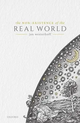 La non esistenza del mondo reale - The Non-Existence of the Real World