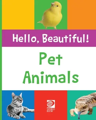 Animali domestici - Pet Animals