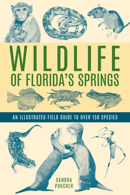 La fauna selvatica delle sorgenti della Florida: Una guida illustrata di oltre 150 specie - Wildlife of Florida's Springs: An Illustrated Field Guide to Over 150 Species