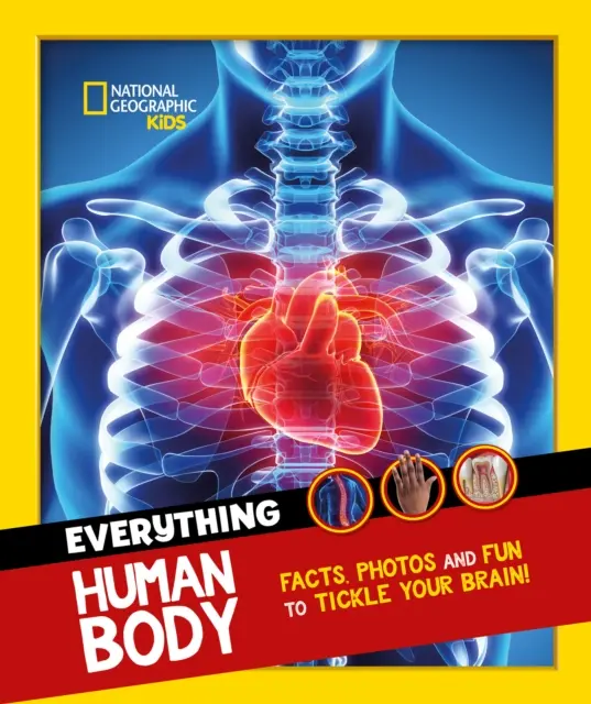 Tutto: il corpo umano - Fatti e foto che aprono gli occhi e stuzzicano il cervello! - Everything: Human Body - Eye-Opening Facts and Photos to Tickle Your Brain!
