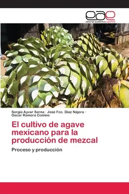 La coltivazione dell'agave messicana per la produzione di mezcal - El cultivo de agave mexicano para la produccin de mezcal