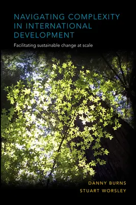 Navigare nella complessità dello sviluppo internazionale: Facilitare il cambiamento sostenibile su larga scala - Navigating Complexity in International Development: Facilitating Sustainable Change at Scale
