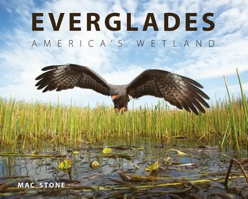 Everglades: Le zone umide d'America - Everglades: America's Wetland