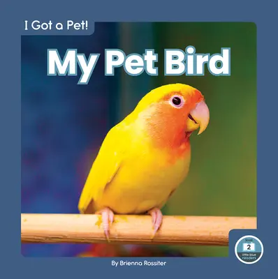 Il mio uccello da compagnia - My Pet Bird