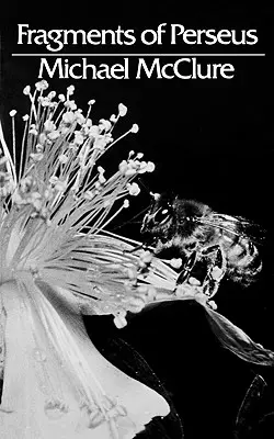 Frammenti di Perseo: Poesia - Fragments of Perseus: Poetry