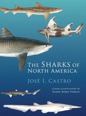Squali del Nord America - Sharks of North America