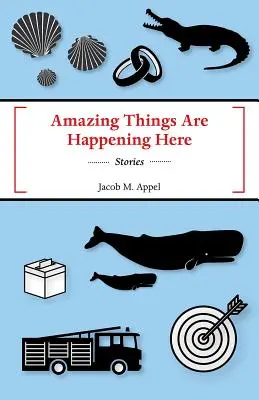 Qui stanno accadendo cose incredibili - Amazing Things Are Happening Here
