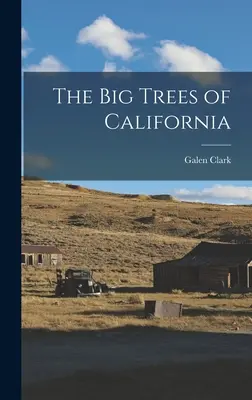 I grandi alberi della California - The Big Trees of California