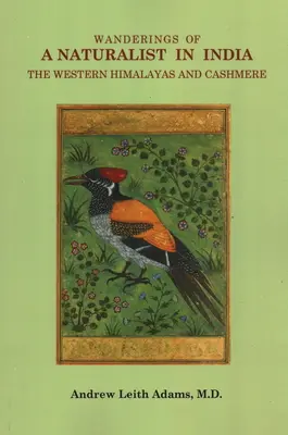 Passeggiate di un naturalista in India, nell'Himalaya occidentale e nel Cashmere - Wanderings of a Naturalist in India, the Western Himalayas and Cashmere
