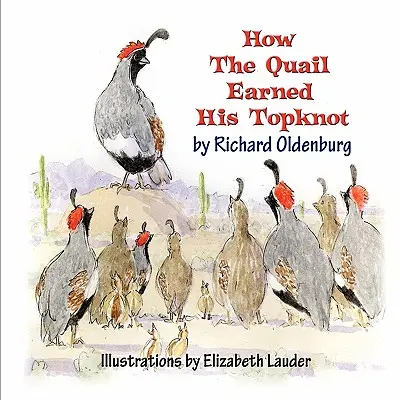 Come la quaglia si guadagnò il ciuffo - How the Quail Earned His Topknot