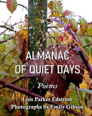 Almanacco dei giorni tranquilli - Almanac of Quiet Days