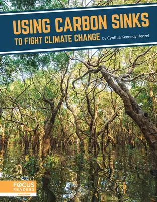 Usare i pozzi di carbonio per combattere i cambiamenti climatici - Using Carbon Sinks to Fight Climate Change