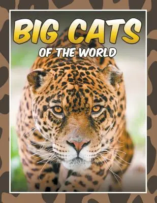 I grandi felini del mondo - Big Cats of the World
