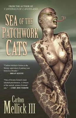 Il mare dei gatti patchwork - Sea of the Patchwork Cats
