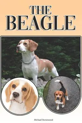 Il Beagle: Guida completa ed esaustiva per principianti a: Acquistare, possedere, salute, toelettatura, addestramento, obbedienza, comprendere - The Beagle: A Complete and Comprehensive Beginners Guide To: Buying, Owning, Health, Grooming, Training, Obedience, Understanding