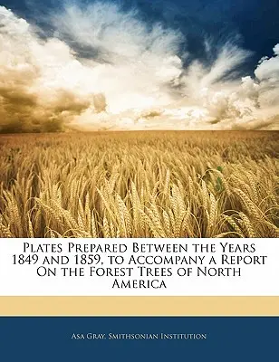 Piastre preparate tra il 1849 e il 1859 per accompagnare una relazione sugli alberi forestali del Nord America - Plates Prepared Between the Years 1849 and 1859, to Accompany a Report on the Forest Trees of North America