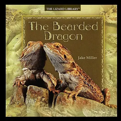 Drago barbuto - Bearded Dragon