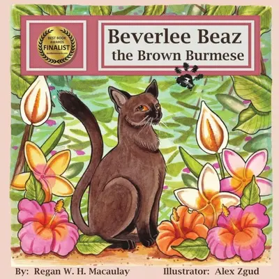 Beverlee Beaz il birmano marrone - Beverlee Beaz the Brown Burmese