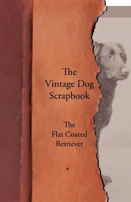L'album dei ricordi del cane d'epoca - Il Flat Coated Retriever - The Vintage Dog Scrapbook - The Flat Coated Retriever