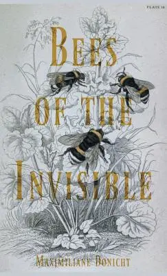 Le api dell'invisibile - Bees of the Invisible