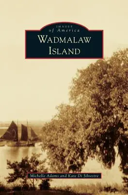 L'isola di Wadmalaw - Wadmalaw Island