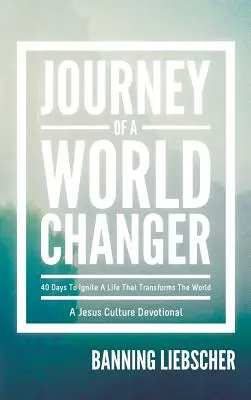 Viaggio di un cambiatore di mondo - Journey of a World Changer