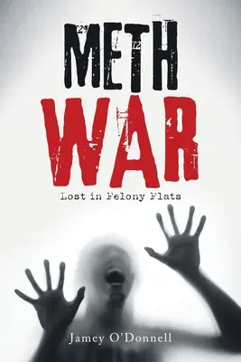 La guerra della metanfetamina: Persi negli appartamenti di lusso - Meth War: Lost in Felony Flats