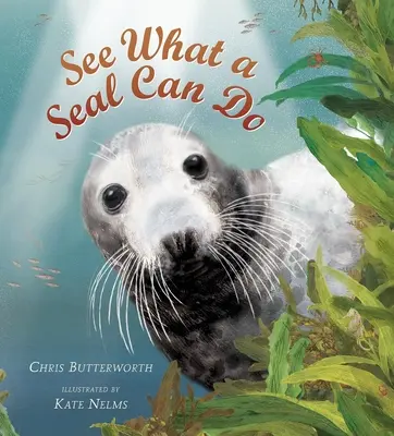 Scoprite cosa può fare una foca - See What a Seal Can Do