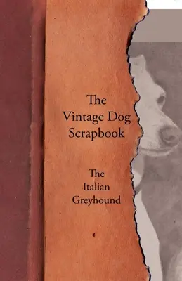 Il diario del cane d'epoca - Il levriero italiano - The Vintage Dog Scrapbook - The Italian Greyhound