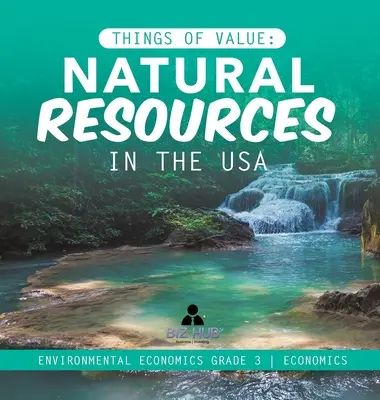 Cose di valore: Risorse naturali negli Stati Uniti Economia ambientale Grade 3 Economics - Things of Value: Natural Resources in the USA Environmental Economics Grade 3 Economics