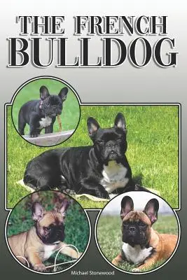 Il Bulldog francese: Una guida completa ed esaustiva per i proprietari a: Acquisto, possesso, salute, toelettatura, addestramento, obbedienza, comprensione e - The French Bulldog: A Complete and Comprehensive Owners Guide To: Buying, Owning, Health, Grooming, Training, Obedience, Understanding and