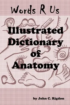 Dizionario illustrato di anatomia Words R Us: Edizione a colori - Words R Us Illustrated Dictionary Of Anatomy: Full Color Edition