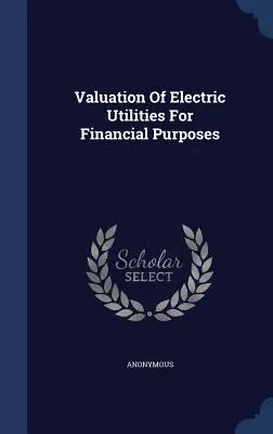 Valutazione delle utenze elettriche a fini finanziari - Valuation Of Electric Utilities For Financial Purposes