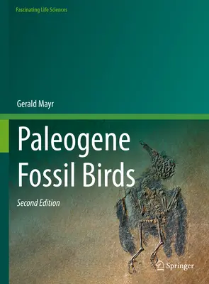 Uccelli fossili del Paleogene - Paleogene Fossil Birds