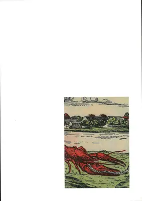 Julian Irlinger: Frammenti di una crisi - Julian Irlinger: Fragments of a Crisis