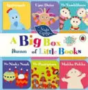 Nel giardino notturno: Una grande scatola di piccoli libri - In the Night Garden: A Big Box of Little Books