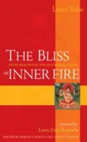 La beatitudine del fuoco interiore: Pratica del cuore dei sei yoga di Naropa - The Bliss of Inner Fire: Heart Practice of the Six Yogas of Naropa
