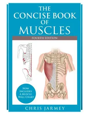 Il libro conciso dei muscoli, quarta edizione - The Concise Book of Muscles, Fourth Edition