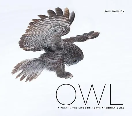 Gufo: Un anno nella vita dei gufi del Nord America - Owl: A Year in the Lives of North American Owls